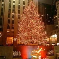 Despite Rumors, Rockefeller Center Christmas Tree Lighting Ceremony To Go Forth As…