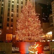 Despite Rumors, Rockefeller Center Christmas Tree Lighting Ceremony To Go Forth As…