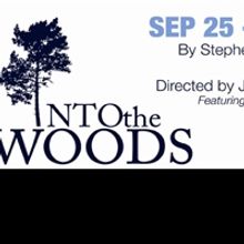 INTO THE WOODS, SEVEN YEAR ITCH & More Set for New Village Arts' 10th Season