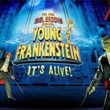 BWW Reviews: YOUNG FRANKENSTEIN at the Hippdrome