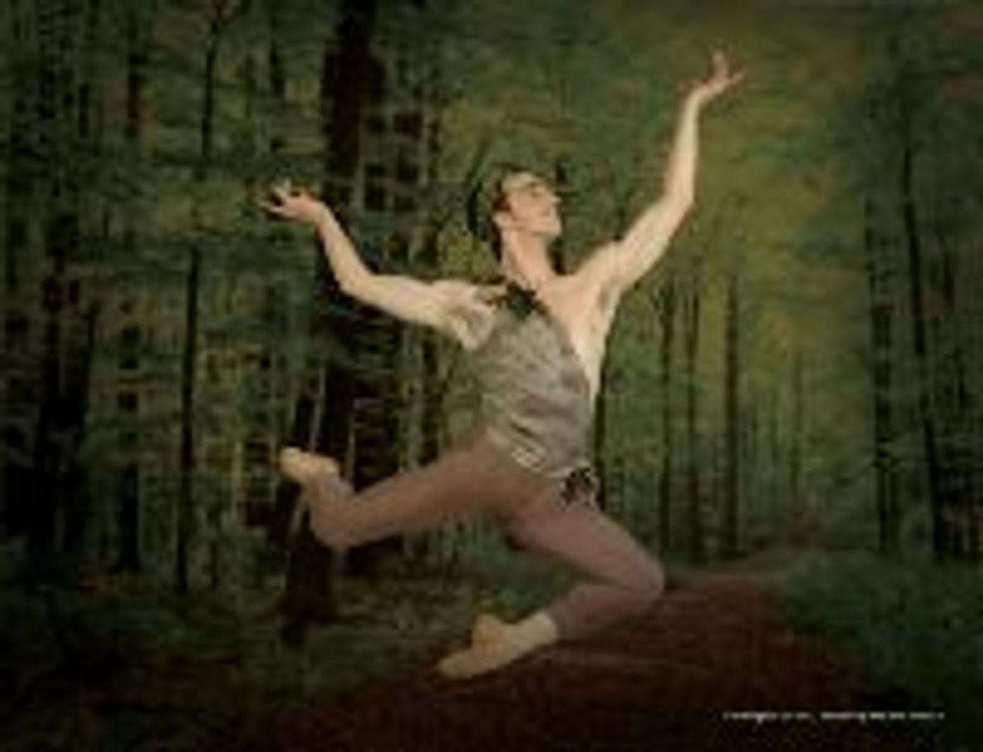 Photo Coverage: Nashville Ballet's 2009-2010 Season Photo Coverage: Nashville Ballet's 2009-2010 Season Image