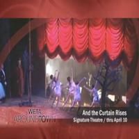 STAGE TUBE: Signature Theatre's AND THE CURTAIN RISES Review Panel!