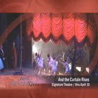 STAGE TUBE: Signature Theatre's AND THE CURTAIN RISES Review Panel! Video