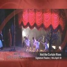 STAGE TUBE: Signature Theatre's AND THE CURTAIN RISES Review Panel!