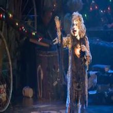 STAGE TUBE: 'Memory' from Musical Theatre West's Production of CATS!