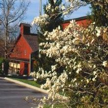 STAGE TUBE: Nicole & Nate Hackmann in Oklahoma! at Cumberland County Playhouse