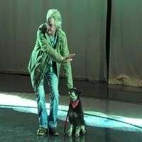 THE WIZARD OF OZ BLOG: Training Toto! Video