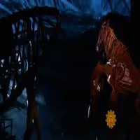 STAGE TUBE: Behind the Scenes of WAR HORSE Video