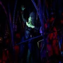 STAGE TUBE: Waddingham Sings 'Red Shoes Blues' From THE WIZARD OF OZ