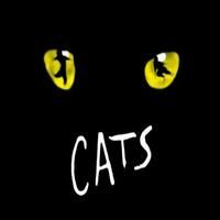 STAGE TUBE: CATS Launches Italian Tour Video