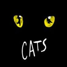 STAGE TUBE: CATS Launches Italian Tour