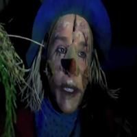 THE WIZARD OF OZ BLOG: In the Wings with Jo Miles- Part 3! Video