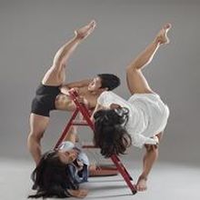 STAGE TUBE: Dance Theatre of Tennessee opens ASPECTS OF LOVE this weekend