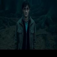 STAGE TUBE: Harry Potter and the Deathly Hallows New Trailer