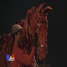 TV: Broadway Beat Goes Inside Opening Night of WAR HORSE
