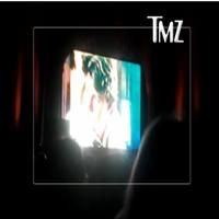 STAGE TUBE: Sheen Ends First Show Early After Boos From Audience