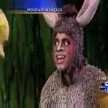 STAGE TUBE: Burton and Cast of Shrek Perform on ABC7