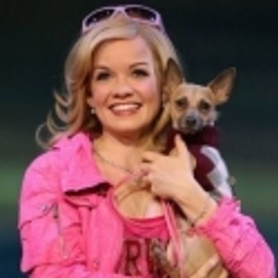 BWW Interviews: BLONDE's Becky Gulsvig