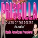 Swenson & Sheldon Lead Pre-Broadway PRISCILLA in Toronto; Opens Oct. 26