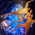 Fuerza Bruta hits Mexico