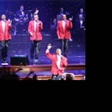 CSO Seeking Volunteers for PICNIC WITH POPS