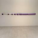Guggenheim Appoints WEISS as Curator, Panza Collection