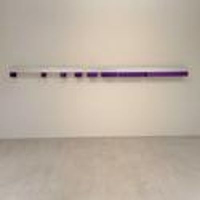 Guggenheim Appoints WEISS as Curator, Panza Collection