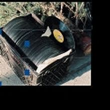 MOYRA DAVEY's First Solo Exhibit Opens at Kunsthalle - June 17