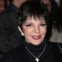 Liza Minnelli Not Set for 'Celebrity Rehab' 'Now or ever'