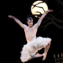 Bourne's SWAN LAKE Returns to New York @ NY City Center Oct. 13 - Nov. 17