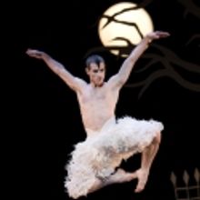 Bourne's SWAN LAKE Returns to New York @ NY City Center Oct. 13 - Nov. 17