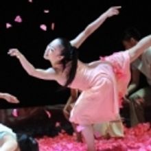 Photo Coverage: Cloud Dance Theatre of Taiwan Premieres 'Whisper of Flowers'