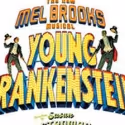 Review: National Tour of 'The New Mel Brooks Musical Young Frankenstein'