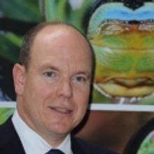 Photo Coverage: Prince Albert of Monaco Visits 'Inventaires sans Frontieres' Exhibiti