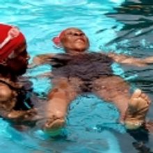 Brooklyn Citywide Pool Holds Preview, Opens 6/29