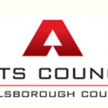 Hillsborough County Arts Council Launches Petition for Funds