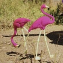 The New Depot Players Present: The Great American Trailer Park Musical