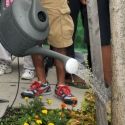 NYC Parks & Rec Urges Citizens to Water Street Trees