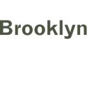 Brooklyn Museum Breaks Attendance Records