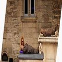 Festival D'Avignon Presents En Atendant July 11