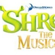 SHREK Offers 'Party with the Princess' at 900 Shops, 7/29