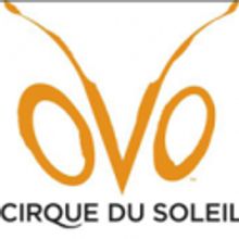 Cirque Du Soleil's OVO Adds 18 Performance to Boston Engagement, 8/17-8/29