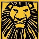 Mandalay LION KING's Hollick Becomes Father Immediately Following Performance