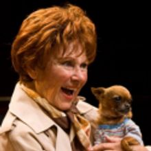 Photo Coverage: DiPietro's THE LAST ROMANCE Previews at The Old Globe