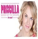 Spencer, McGowan, Gurr, Marsh & Metzler Complete Pre-Broadway PRISCILLA Cast!