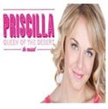 Spencer, McGowan, Gurr, Marsh & Metzler Complete Pre-Broadway PRISCILLA Cast!