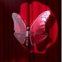 The Butterfly Club Now Accepting Applications for 2011