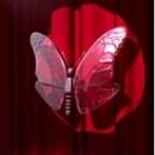 The Butterfly Club Now Accepting Applications for  2011