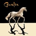 'Cavalia': Equestrian Poetry in Motion