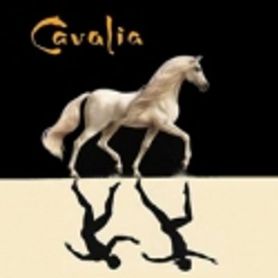 'Cavalia': Equestrian Poetry in Motion